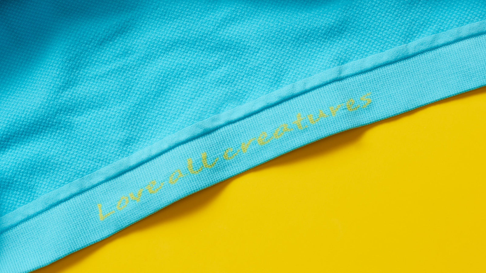 Aqua blue colored Yellowberry Seamless style on a yellow background.