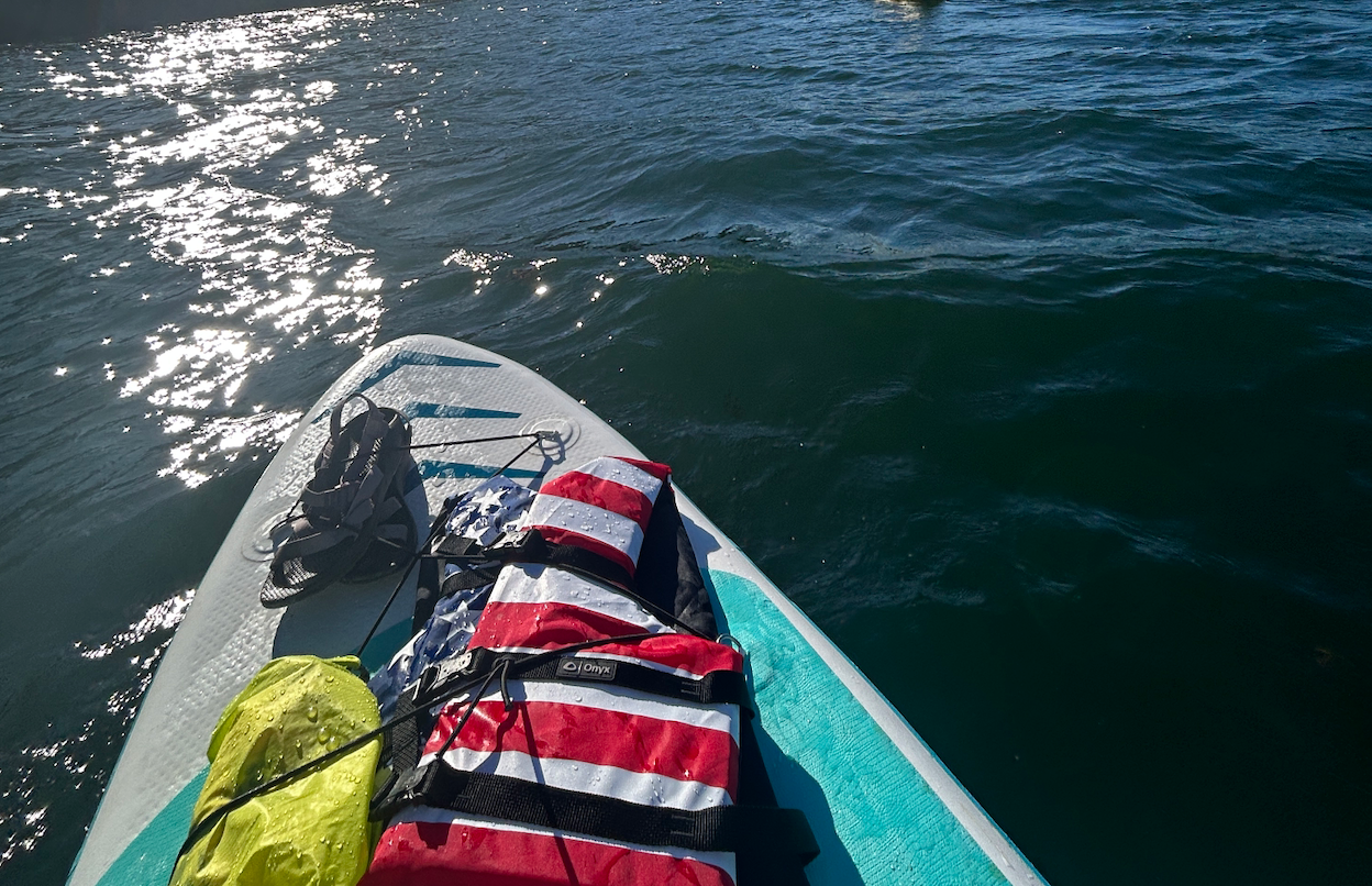 The top of a paddleboard in water with a lifejacket attached. The water looks nice and cool on a hot summer day.