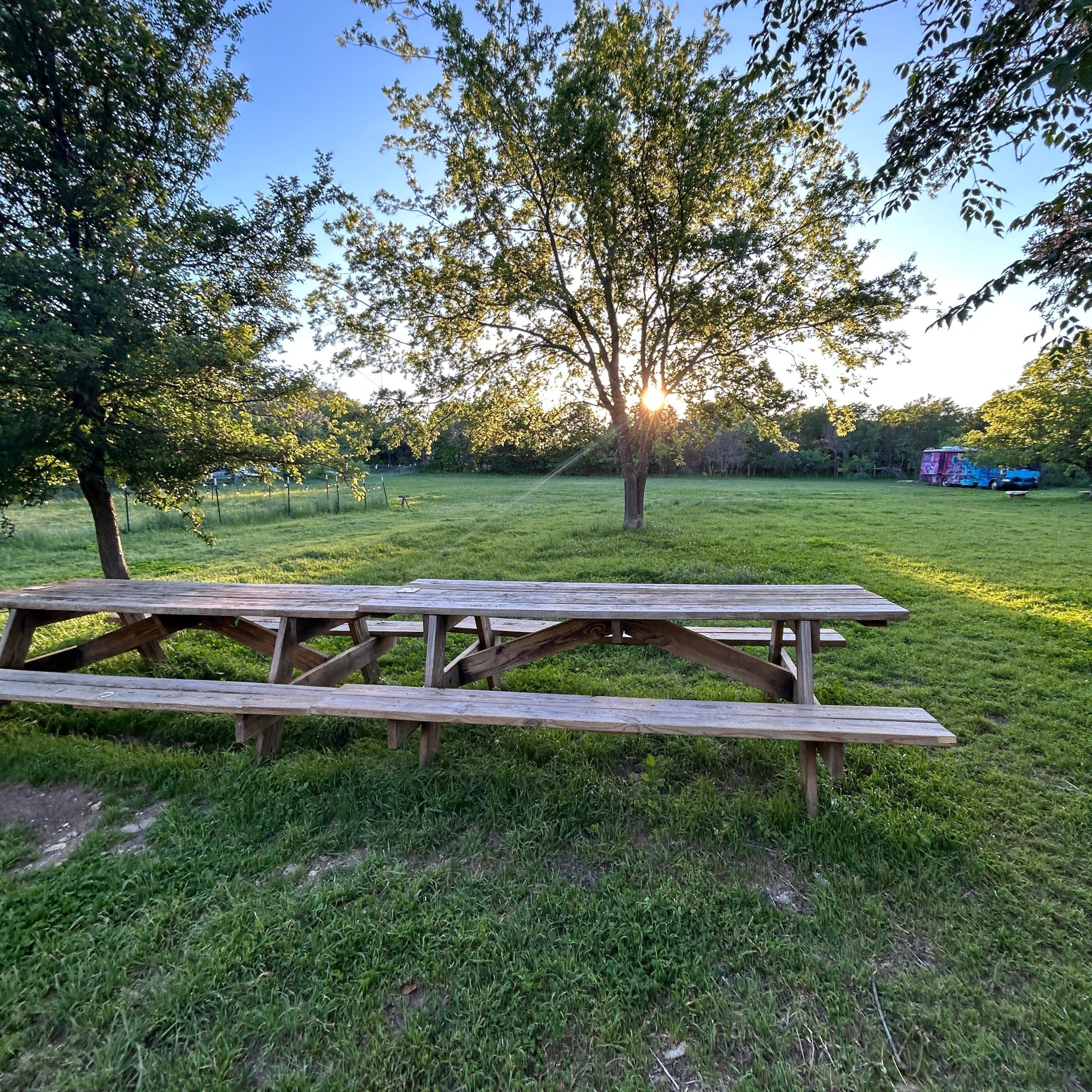 A wooden picnic table setup next to a few trees. It is in a small meadow surrounded by more trees. Picture taken at golden hour.