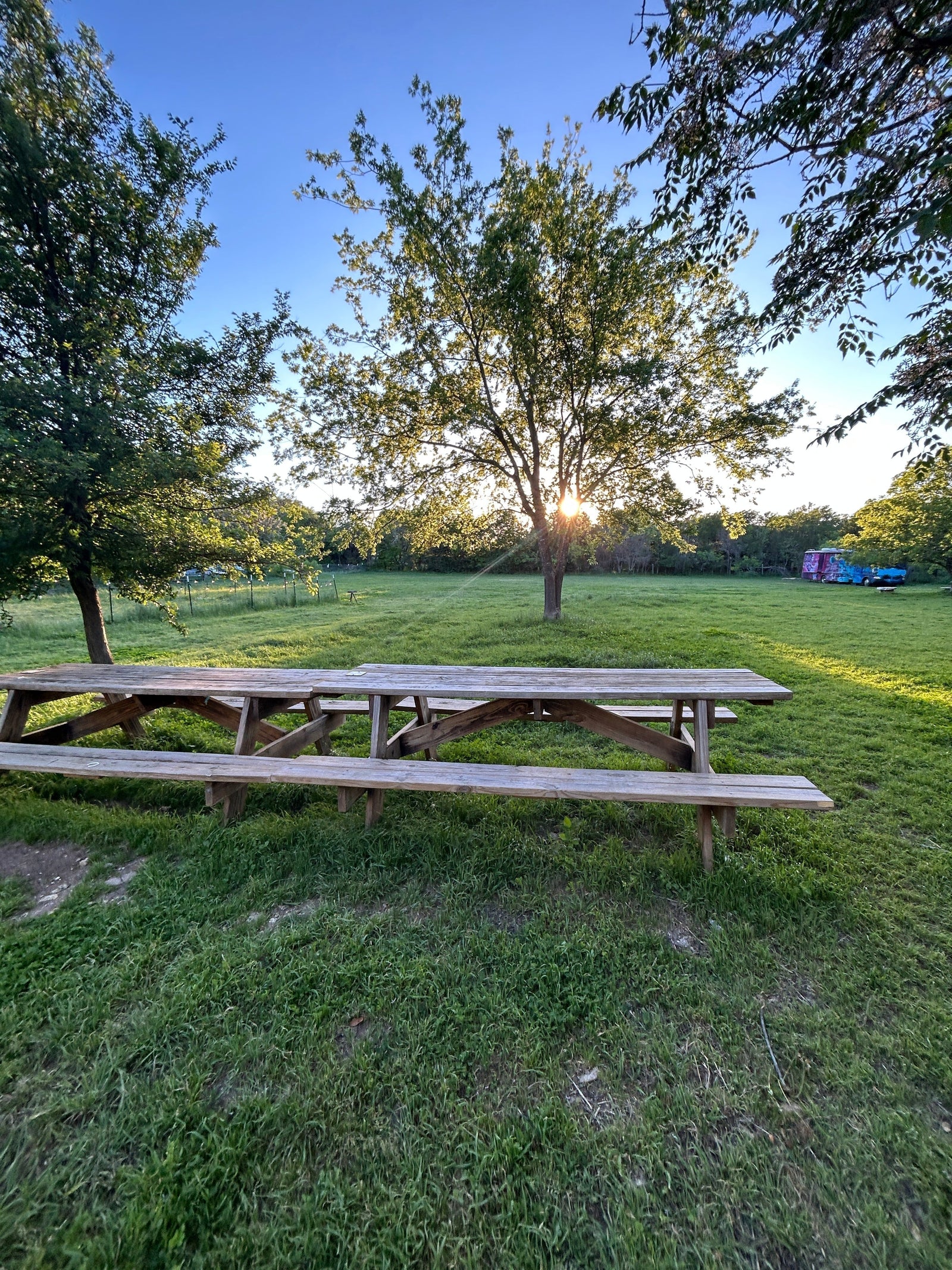 A wooden picnic table setup next to a few trees. It is in a small meadow surrounded by more trees. Picture taken at golden hour.