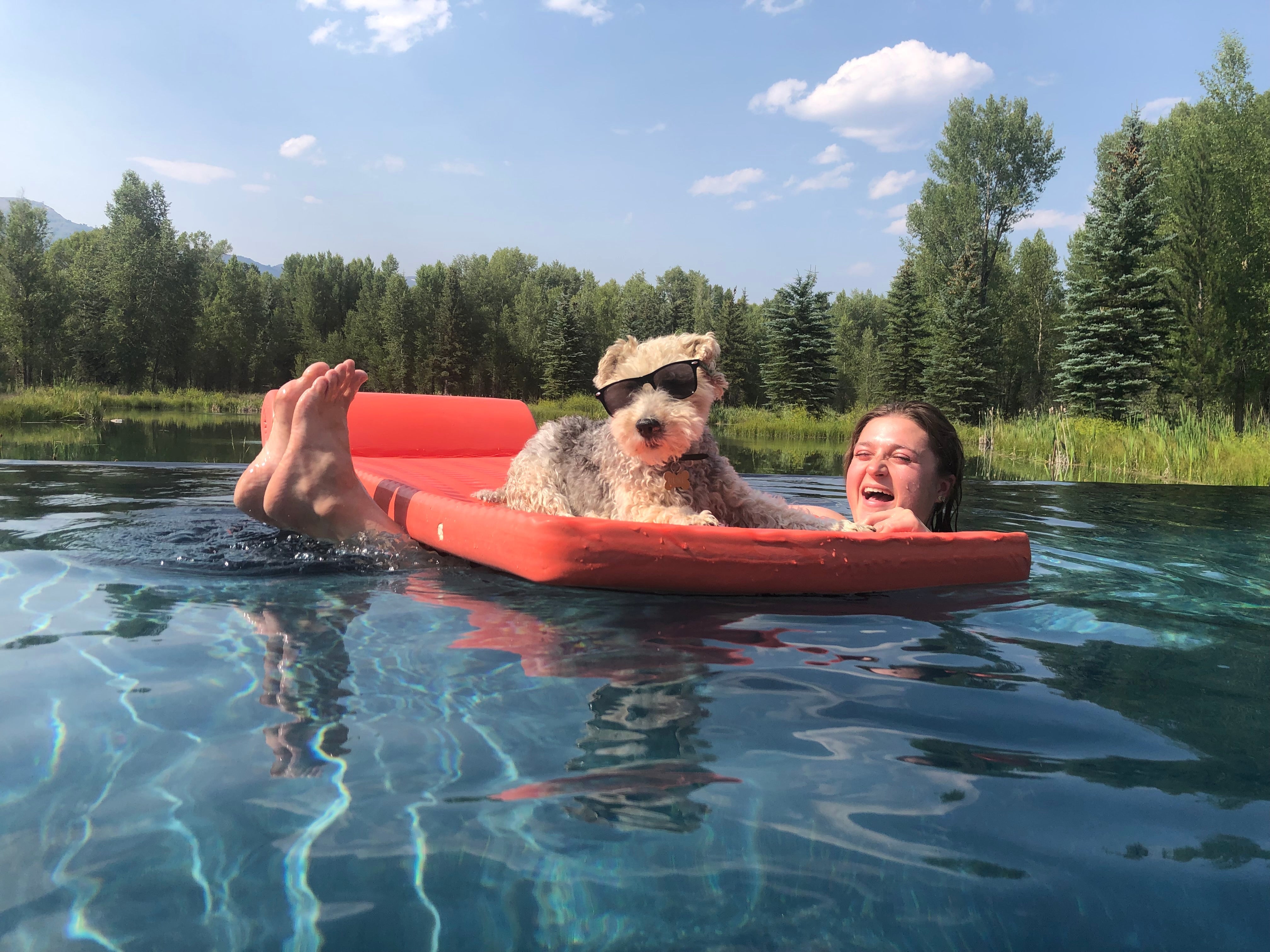 Girl in a pool with a wire fox terrier dog lounging on a raft! The dog is wearing sunglasses, relaxed, and the girl is kicker her feet out of the water laughing.