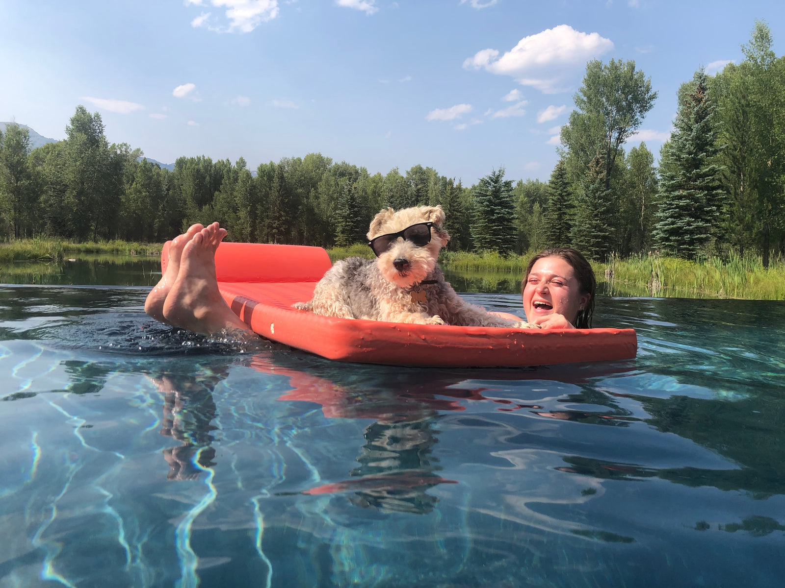 Girl in a pool with a wire fox terrier dog lounging on a raft! The dog is wearing sunglasses, relaxed, and the girl is kicker her feet out of the water laughing.