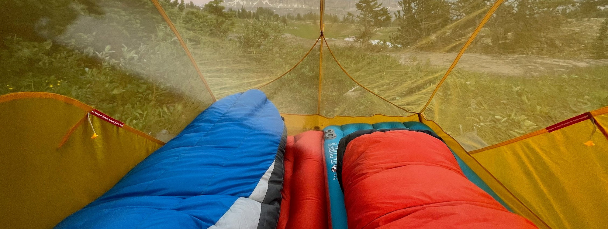 Summer Camp Essentials