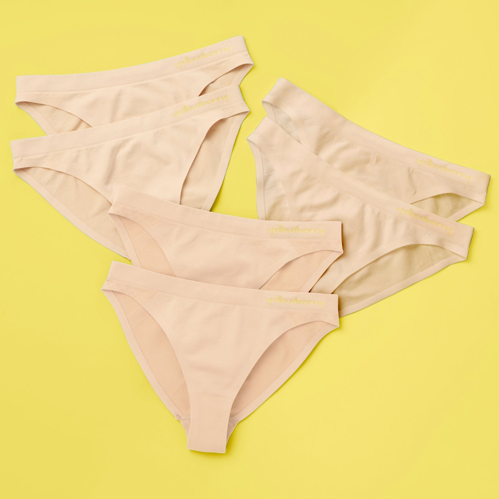 Take Talk 5 Pack Seamless Underwear for Women High Cut Bikini India