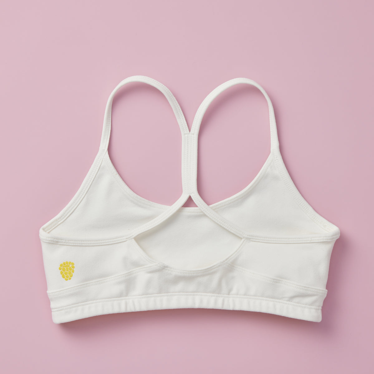 Tink Hybrid Sports Bra